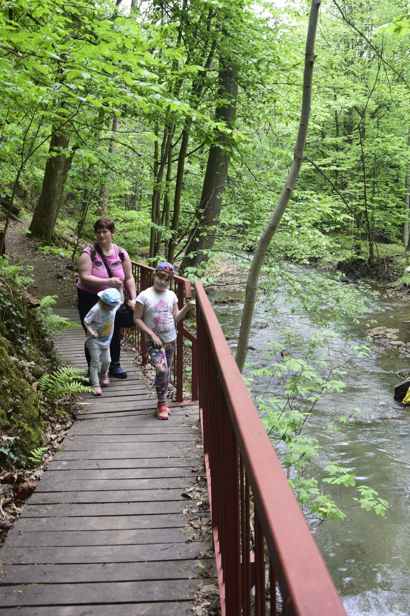 Sciezka Hochbergow 44.jpg